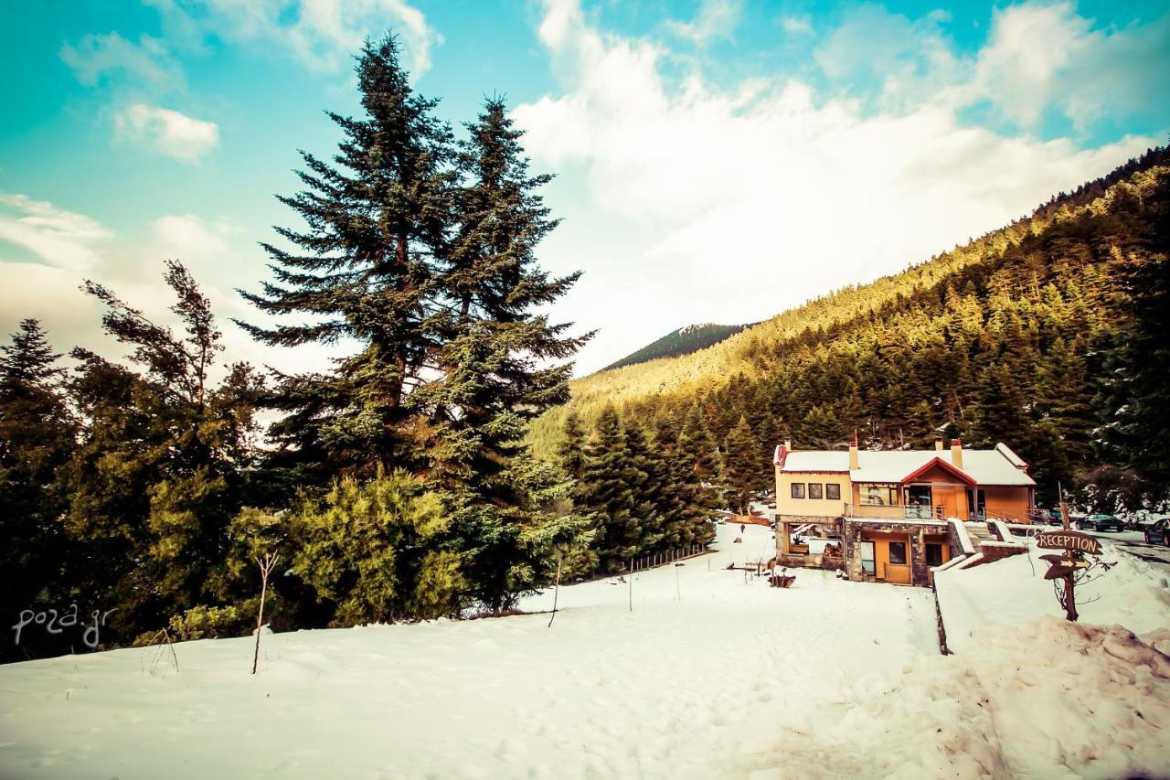 Natura Hotel Витина Екстериор снимка