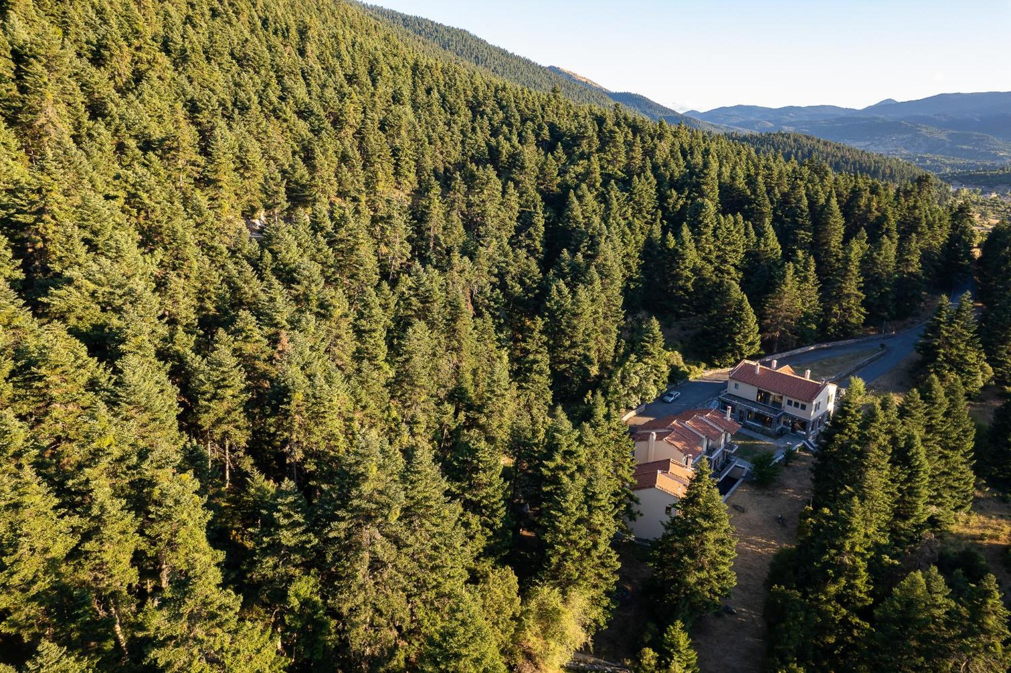 Natura Hotel Витина Екстериор снимка