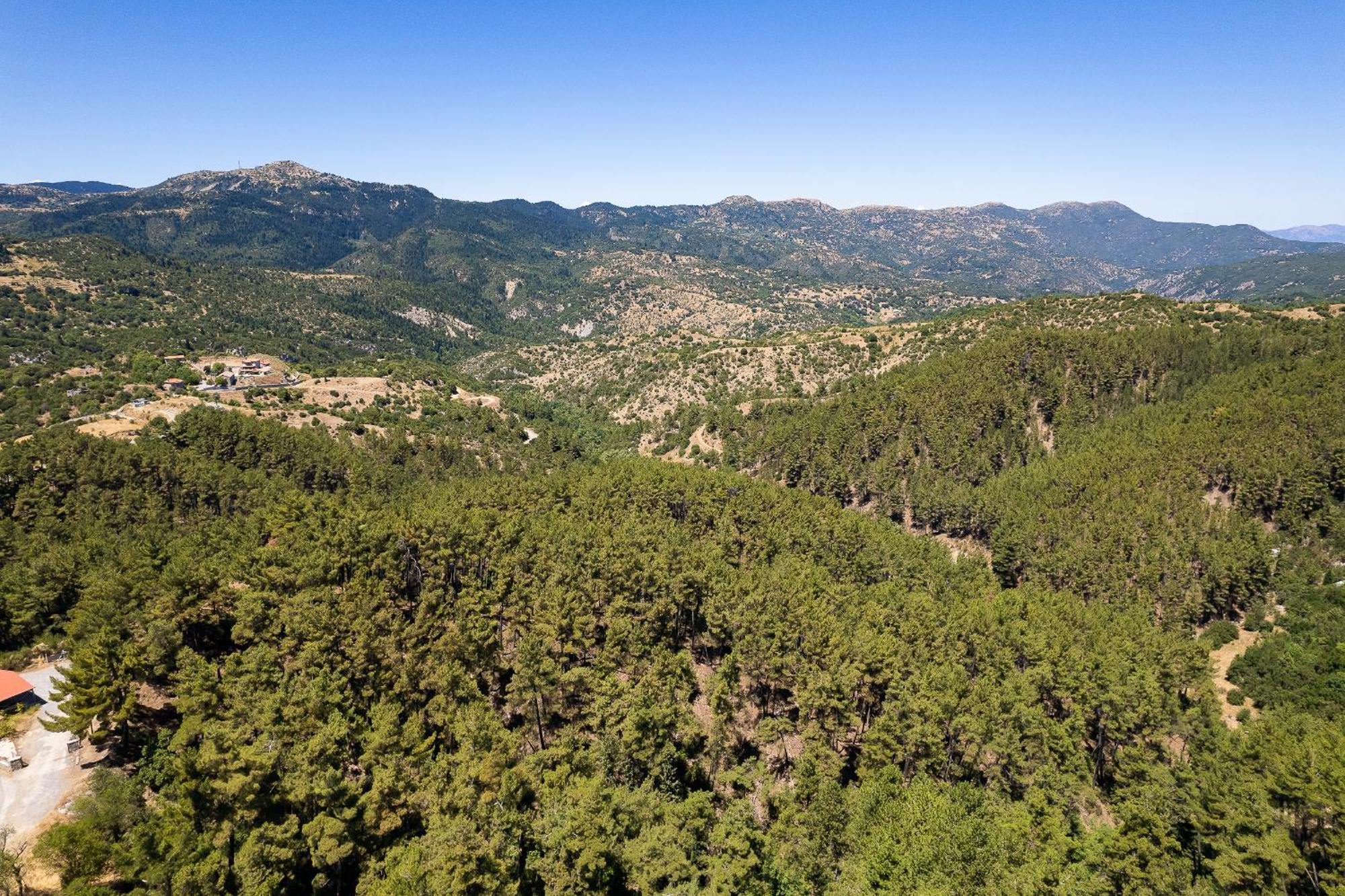 Natura Hotel Витина Екстериор снимка