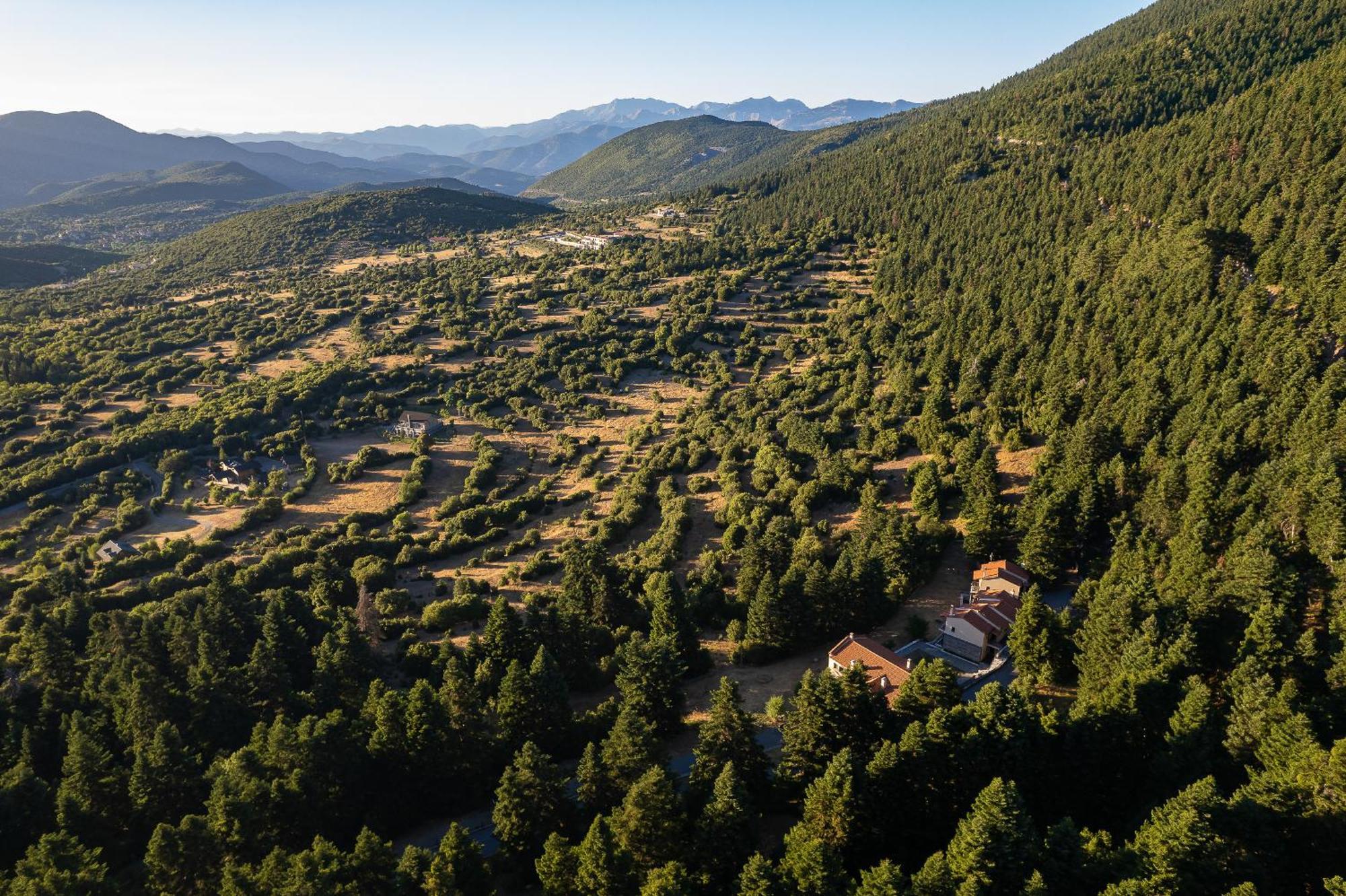 Natura Hotel Витина Екстериор снимка