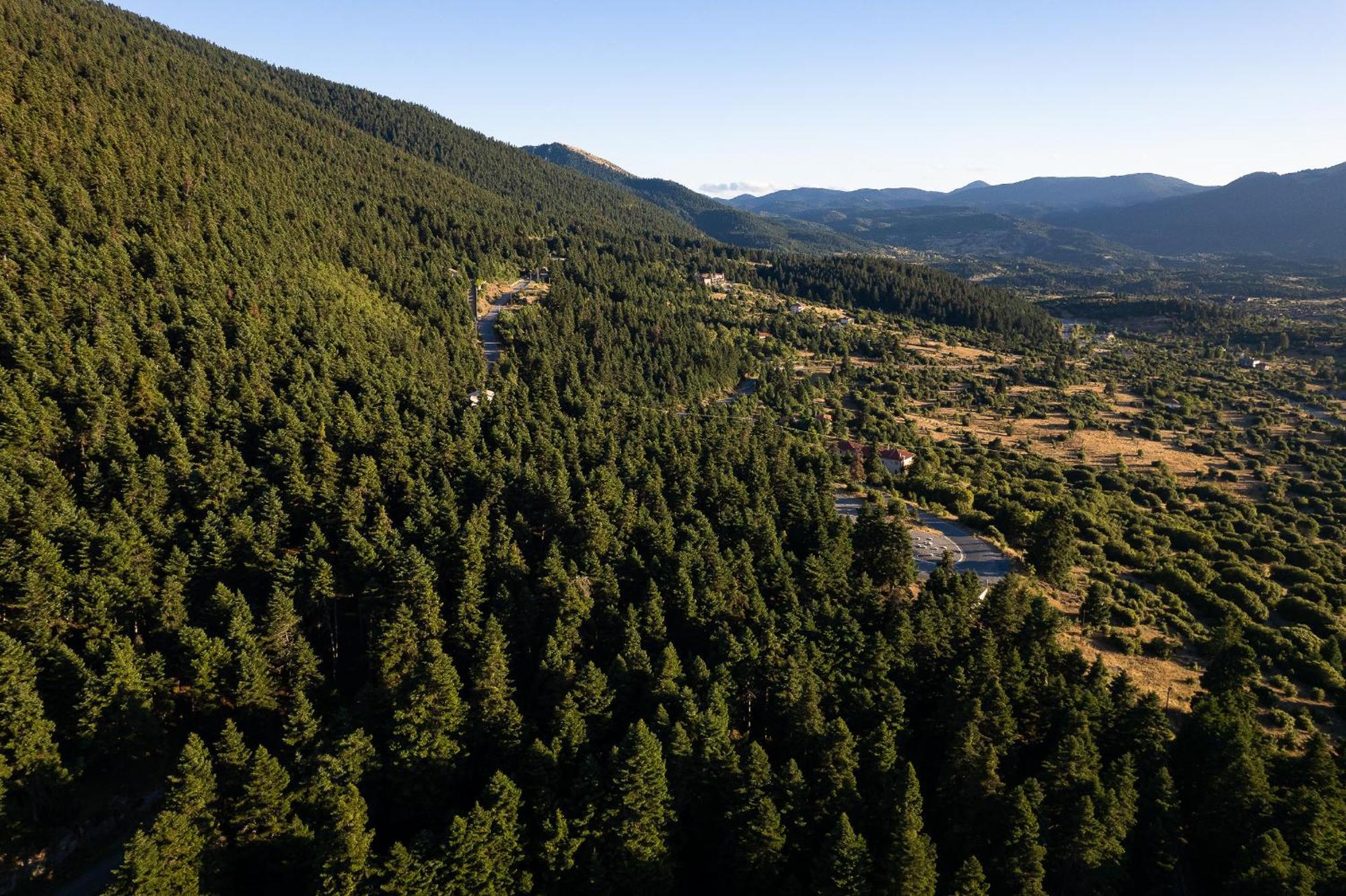 Natura Hotel Витина Екстериор снимка